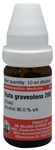 Dr Willmar Schwabe Germany Ruta Graveolens Dilution 200 CH