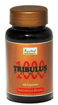 Ayurleaf Tribulus Power 1000 Capsule