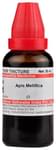 Dr Willmar Schwabe India Apis Mellifica Mother Tincture Q