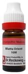 Dr. Reckeweg Blatta Orient Dilution 10M CH