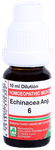 ADEL Echinacea Ang. Dilution 6