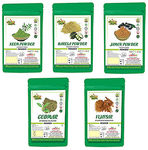BHPI Bharat Combo Pack of Neem, Karela, Jamun, Gudmar & Vijaysar Powder (100gm Each)