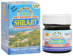 Gurukul Shudh Shilajit Paste