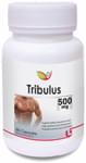 Biotrex Tribulus 500mg Capsule