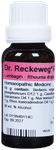 Dr. Reckeweg R11 Rheumatism Drop | For Pain Relief | Effective for Sprains and Strains| Bone, Joint & Muscle Care
