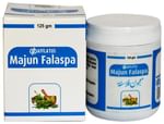 Afflatus Majun Falaspa
