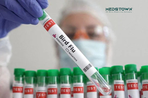 Birdflu testing