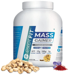 Exerfit Mass Gainer Titanium Series Powder Kesar Pista
