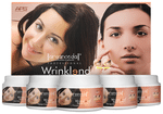 Aryanveda APS Facial Wrinklend Kit