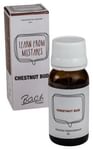 Alfa Omega Bach Flower Chestnut Bud 6X