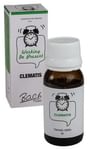 Alfa Omega Bach Flower Clematis 6X