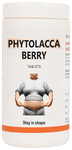 Bakson's Homoeopathy Phytolacca Berry Tablet