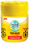 Amrutanjan Pain Relief Balm with Extra Power Aromatic Action | Helps Relieve Headaches & Cold
