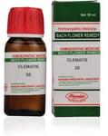 Bhandari Bach Flower Clematis 30
