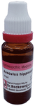 Dr. Reckeweg Aesculus Hip Mother Tincture Q