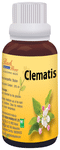 Bio India Bach Flower Clematis