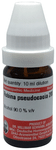 Dr Willmar Schwabe Germany Robina Pseudocacia Dilution 200