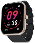 Fire-Boltt Dazzle Plus Gold-Black