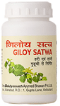 Baidyanath (Noida) Giloy Satwa Powder