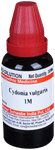 Dr Willmar Schwabe India Cydonia Vulgaris Dilution 1M
