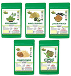BHPI Bharat Combo Pack of Neem, Karela, Jamun, Fenugreek & Gudmar Powder (100gm Each)