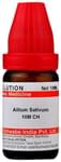 Dr Willmar Schwabe India Allium Sativum Dilution 10M CH