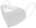 Dominion Care N95 Mask