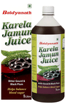 Baidyanath (Noida) Karela Jamun Juice