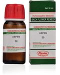 Bhandari Bach Flower Aspen 30