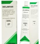 ADEL Anti Arthritis Combo Pack of ADEL 27 Inflamyar Drop 20ml & ADEL 75 Inflamyar Ointment 35gm