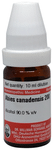 Dr Willmar Schwabe Germany Acidum Carbolicum Dilution 30