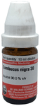 Dr Willmar Schwabe Germany Sambucus Nigra Dilution 30