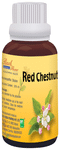 Bio India Bach Flower Red Chestnut