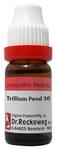 Dr. Reckeweg Trillium Pendulum Dilution 30 CH