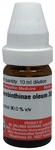 Dr Willmar Schwabe Germany Terebinthinae Oleum Dilution 30