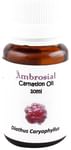 Ambrosial Carnation Essential Oil