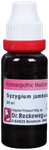 Dr. Reckeweg Syzygium Jamb Mother Tincture Q