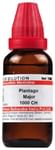 Dr Willmar Schwabe India Plantago Major Dilution 1000 CH