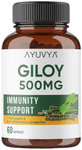 Ayuvya Giloy 500mg Capsule