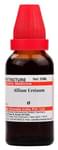 Dr Willmar Schwabe India Allium Ursinum Mother Tincture Q