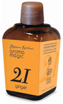 Aroma Magic Ginger Essential Oil