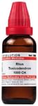 Dr Willmar Schwabe India Rhus Toxicodendron Dilution 1000 CH