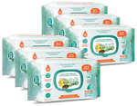 Buddsbuddy Cucumber Based Skincare Baby Wet Wipes (80 Each)