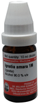 Dr Willmar Schwabe Germany Ignatia Amara Dilution 1M