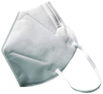 DTex KN95 Protective Mask White