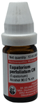 Dr Willmar Schwabe Germany Eupatorium Perfoliatum Dilution CM