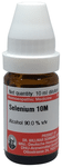 Dr Willmar Schwabe Germany Selenium Dilution 10M