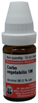 Dr Willmar Schwabe Germany Carbo Vegetabliis Dilution 1M