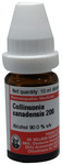 Dr Willmar Schwabe Germany Collinsonia Canadensis Dilution 200