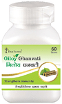 Four Seasons Giloy Ghanvati
